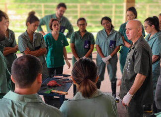 Combate a brucelose e tuberculose é tema de capacitação para profissionais da área