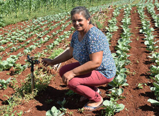 Desconto de energia para irrigação noturna beneficia 4 mil famílias de produtores rurais