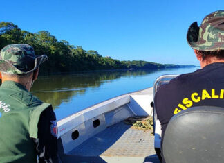 IAT conclui Piracema com R$ 265 mil em multas e 194,68 quilos de peixe apreendidos