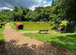 Paraná vai ganhar mais nove parques urbanos em 2024