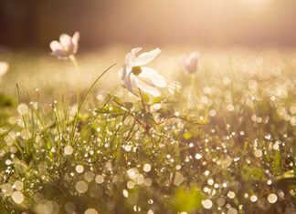 Calor com dias contados