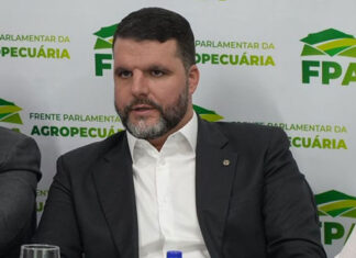 “Governo precisa assumir que há crise no agro”, afirma Lupion