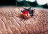 Paraná registra 17 mil novos casos e 12 óbitos de dengue em uma semana