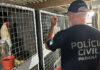 PCPR apreende 390 animais em megaoperação contra rede de tráfico internacional