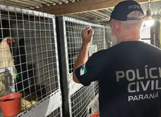 PCPR apreende 390 animais em megaoperação contra rede de tráfico internacional