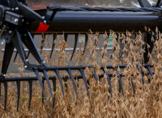 Paraná deve produzir 21,12 milhões de toneladas de grãos na safra de verão 2023/2024