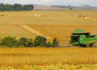 Paraná propõe ao governo federal Plano Safra 2024/25 com R$ 568 bilhões