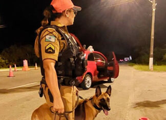 Polícia Militar reforça fiscalização nas rodovias estaduais durante feriado