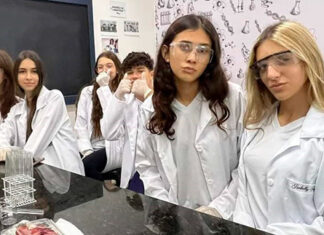 Da teoria à prática: extração do DNA do morango