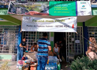 Campanha solidária do IAT reforça apoio ao RS