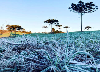 Serviço Alerta Geada começou a operar nesta terça-feira, 14