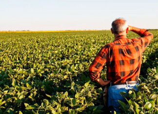 Proprietário rural já pode emitir CCIR 2024