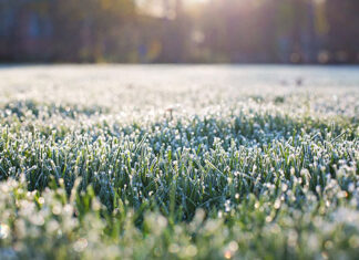 Quinta-feira, dia 20, começa estação de inverno