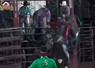 Jovem peão morre após ser pisoteado por touro durante rodeio em Santo Antônio do Paraíso