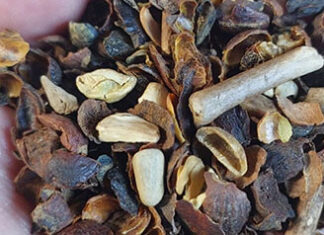 Agricultura manda recolher 16 marcas de cafés impróprios para consumo