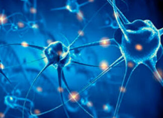 Esclerose múltipla causa diversas sequelas, mas é possível viver com qualidade de vida Esclerose-múltipla