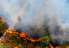 Paraná está próximo de bater recorde histórico de incêndios no meio rural