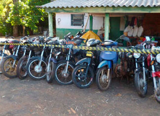 DER/PR vai leiloar quase 800 sucatas de carros e motos em setembro DER