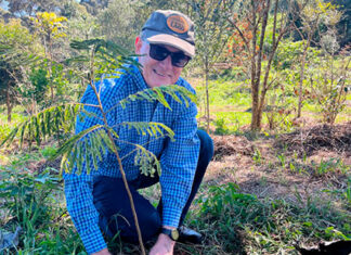 Ações de voluntariado impacta mais de 465 mil pessoas no PR, SP e RJ Dia C