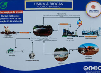 Produção de biogás a partir da suinocultura gera renda extra para produtores do Paraná Produção de biogás