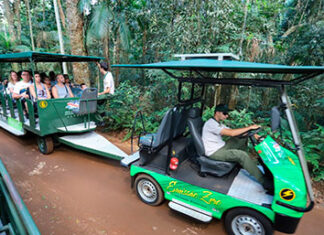 Serviços e turismo do Paraná crescem acima da média nacional no 1º semestre Turismo