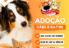 Feira de adoção de cães e gatos vai estar na Expoban Adote