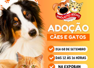 Feira de adoção de cães e gatos vai estar na Expoban Adote