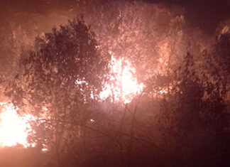 Para prevenir incêndios, Paraná suspende por 90 dias queima controlada no campo