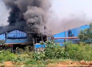 Indústria de abate de frangos é consumida por fogo