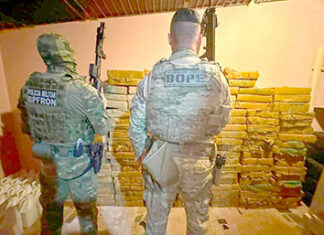 Com 326 toneladas, Paraná lidera apreensão de drogas no Brasil em 2024