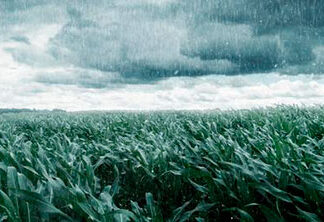 Embora moderada, La Niña coloca produtor em alerta FAEP