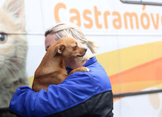 Castrapet vai para 4º ciclo e começa em novembro com atendimento de 35 mil animais