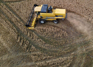Relatório final mostra as culturas do agro que elevam o VBP a mais de R$ 1 bilhão