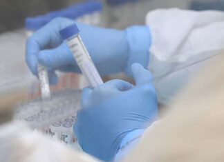 Estado, Cedca e MPPR disponibilizam 2 mil exames gratuitos de DNA para população DNA