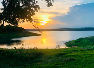Alvorada do Sul terá corrida de rua de 5 km e 10 km no dia 1º de dezembro