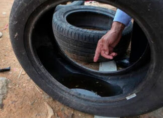 Boletim semanal da dengue confirma 253 novos casos da doença Dengue