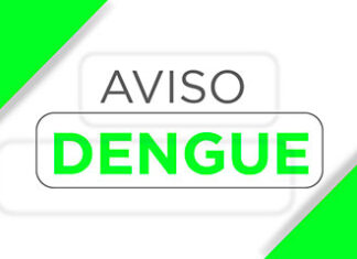 Boletim semanal da Secretaria da Saúde confirma 308 novos casos de dengue no Paraná