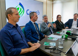 Governo vai adquirir até 200 mil toneladas de trigo de produtores nacionais