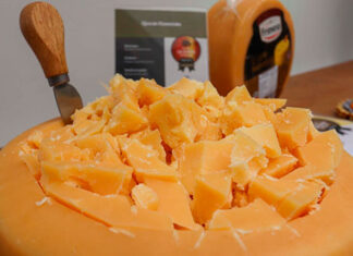 Inscrições para Prêmio Queijos do Paraná estão abertas