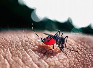 Boletim semanal da dengue confirma mais 950 casos no Paraná