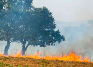 FAEP abre edital para contratação de instrutor de curso em prevenção e combate a incêndios