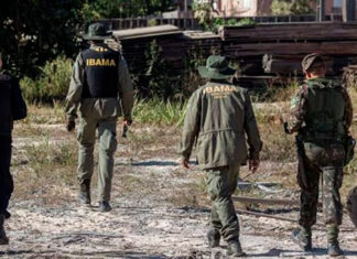 O Instituto Brasileiro do Meio Ambiente e dos Recursos Naturais Renováveis (Ibama) IBAMA