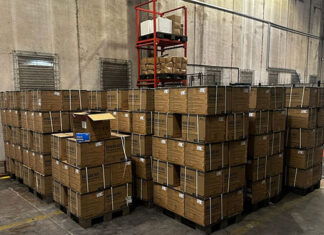 Paraná recebe 359,9 mil testes rápidos de dengue e Sesa organiza distribuição