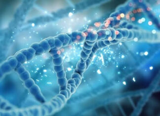 Centro de Saúde Pública de Precisão avança com pesquisas genéticas já em andamento