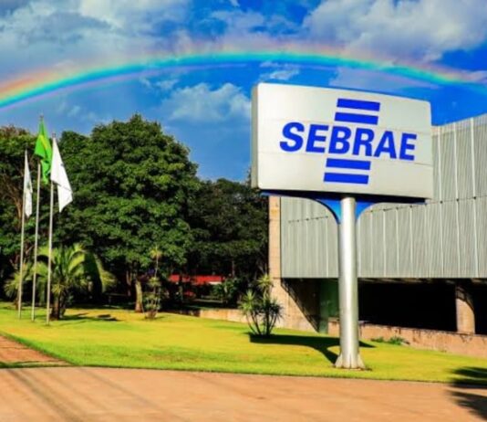 Sebrae abre processo seletivo para vagas na entidade SEBRAE