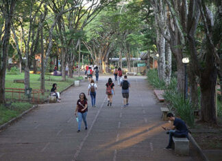 Matrículas do Aprova Paraná Universidades começam nesta quarta-feira Imagem principal da matéria