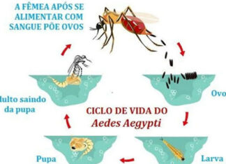Novo calendário de contagem é adotado devido a mudança no cenário epidemiológico