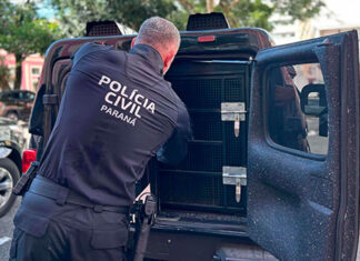 Mais 10 mulheres são resgatadas de cárcere privado e 2º suspeito é preso