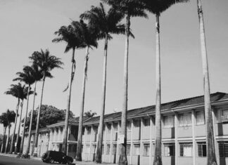 FRAGMENTOS DA NOSSA HISTÓRIA: GESTÕES E LEGISLATURAS DO MUNICÍPIO