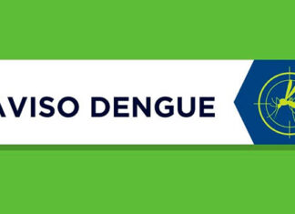 Secretaria da Saúde confirma 2.572 novos casos e seis óbitos por dengue no Paraná